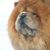 Linda Fontana's profile image