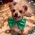 Lorraine Fuselli's profile image