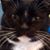 Tina McPeak's profile image