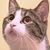 Emmy Bermudez's profile image