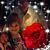 Yolanda Perera Rodriguez's profile image