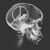 Daniel Condon's profile image