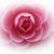Mary C Zubrowski's profile image