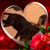 Mary Sinar's profile image