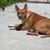 Sylvia Falk's profile image