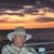 Charles Parker's profile image