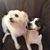 Reba Woolwine Holder's profile image