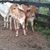 Genry Waldemar Garcia's profile image
