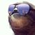 Patrick DeRoy's profile image