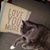 Pamela Green's profile image