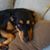 Lisa Jo Detweiler's profile image