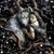 Lisa Marie Bondra's profile image