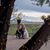 Lisa Labbe's profile image
