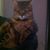 Debbie Bunn's profile image