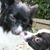 Janice Ediger's profile image