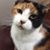 Margy Leahey Gerber's profile image