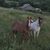 Elaine Parris Stanton's profile image