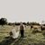 Jessica Breanna Mozes's profile image