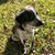 Jane Page Hagest's profile image