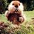 Paul L Dwyre's profile image