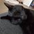 Crissy Chytla Townsend's profile image