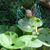Dixie Woods Owen-Perry's profile image