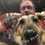 Stuart Robertson's profile image