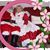 Denise Coleman Nichols's profile image