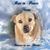 Gary Daley's profile image
