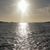 Michaeleen Green's profile image