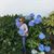 Debra Barrett's profile image