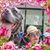 Jennifer Ward's profile image