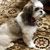 Delinda Peterson Britt's profile image