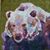 Sunne Brandmeyer's profile image