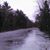 Louise Olson's profile image