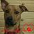 Sherry Rodo-Sherrard's profile image