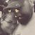 Anna Showalter's profile image