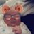 Kimberly Stevens's profile image