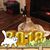 Karen Brown Williams's profile image