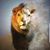 Michelle Smith's profile image