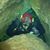 Alex Yankelevich's profile image