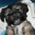 Diana Gomez's profile image