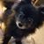 Shela Boswell Blackburn's profile image