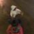 Stephanie Streicher's profile image