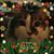 Lori Rednour's profile image
