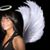 Jeni Peter Vellucci's profile image
