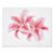 Robin AvaeSunshine Crooms's profile image