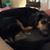 Linda Lewis Lucas's profile image