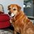 Danny N Debbie Lovejoy's profile image