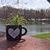 Amy Lynn's profile image